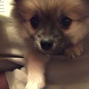 Meet your Posher, Catherine